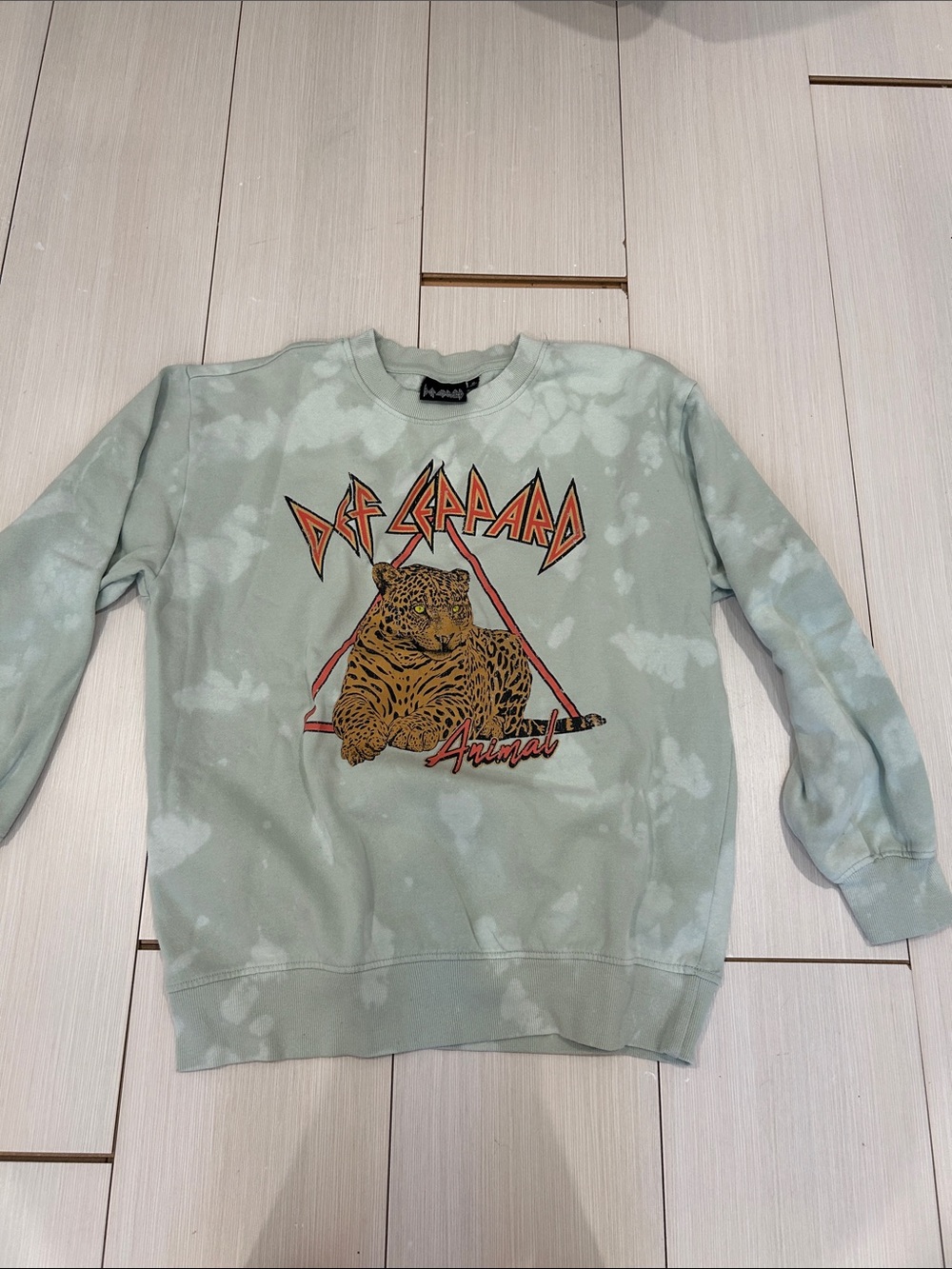 Def Leppard Graphic Crewneck Sweatshirt in Sage Green